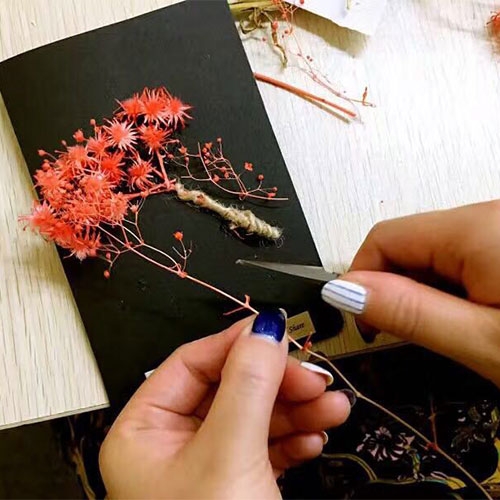 第81期｜独一无二的礼物